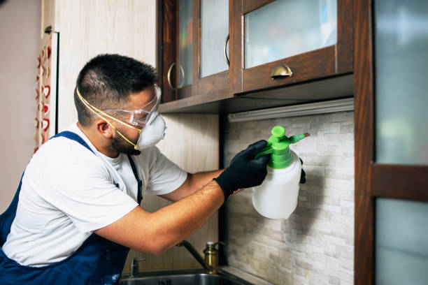 Best Best Pest Control Companies  in Storm Lake, IA