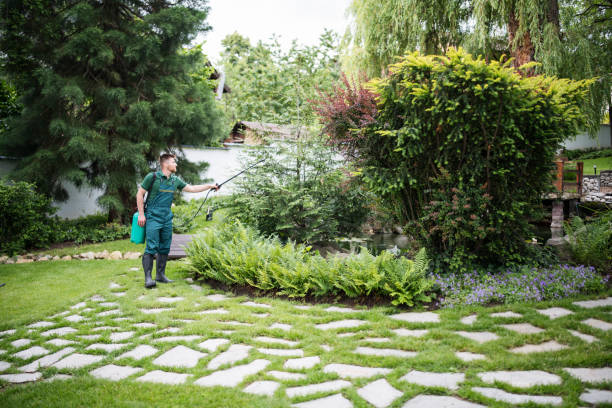 Best Affordable Pest Control Services  in Storm Lake, IA