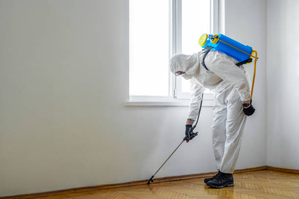 Flea Control Services in Storm Lake, IA