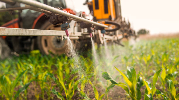 Reliable Storm Lake, IA Pest Control Solutions